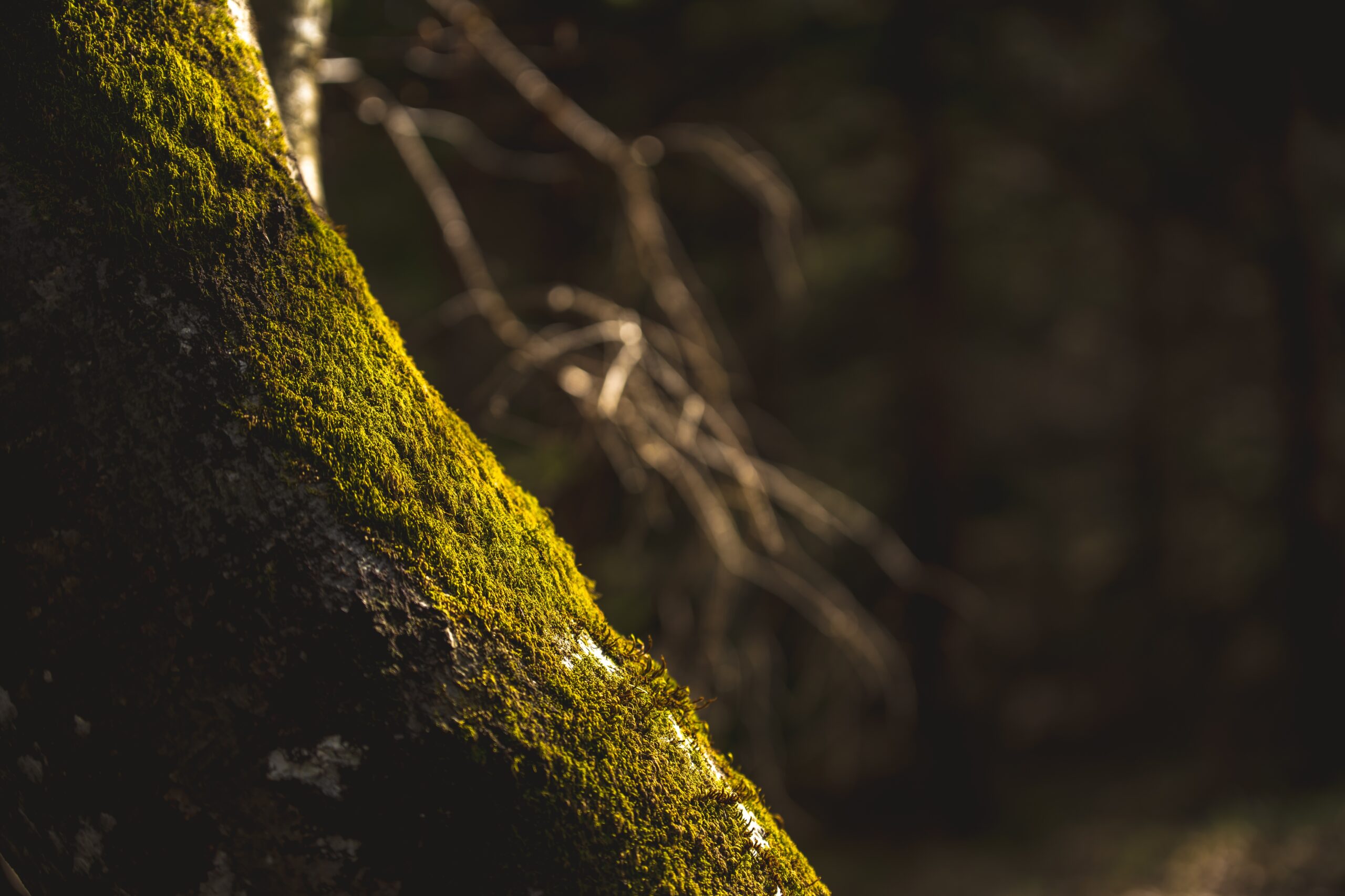 Imagen compra-venta de fincas y otros inmuebles